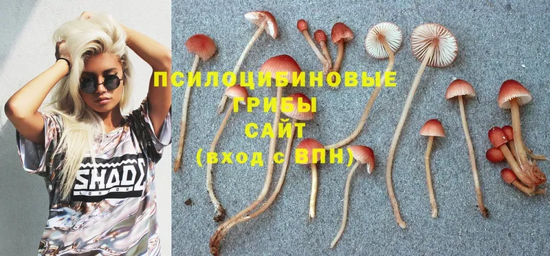 даркнет как зайти  купить наркотики сайты  Мышкин  Псилоцибиновые грибы GOLDEN TEACHER 